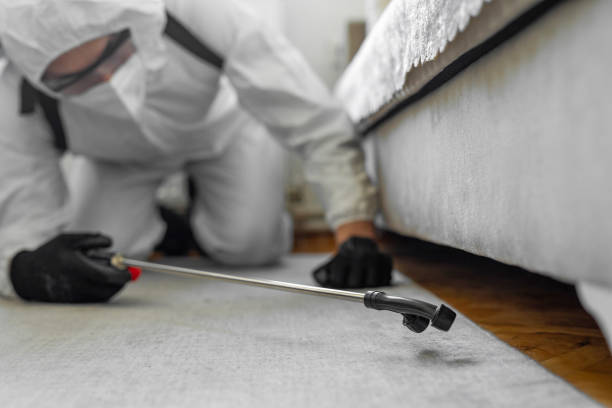Professional Cockroach Control technician working in Sauk Centre, MN